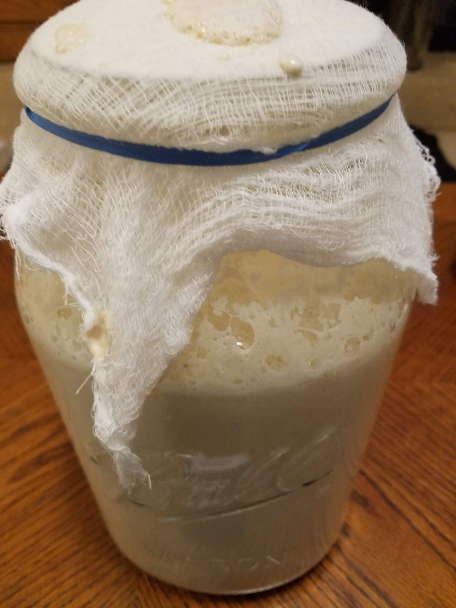 Sourdough starter — image 2