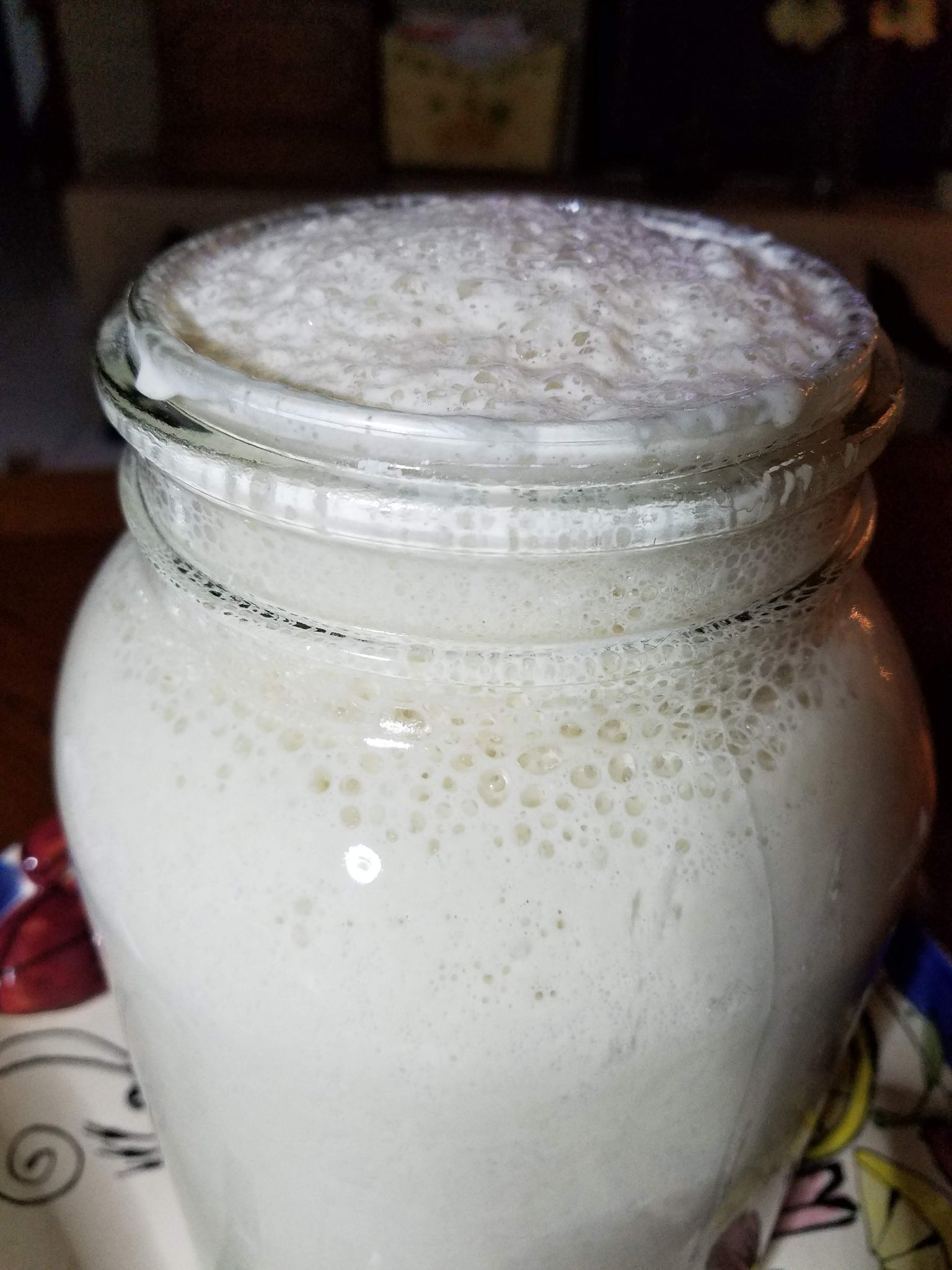 Sourdough starter — image 5