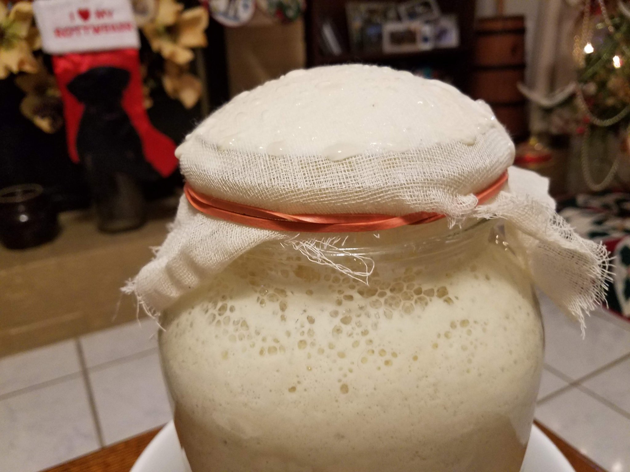 Sourdough starter — image 4